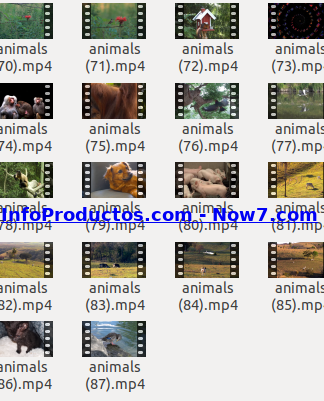 Captura-AnimalsStockVids5-V2_mrr-infoproductos.com-now7.com